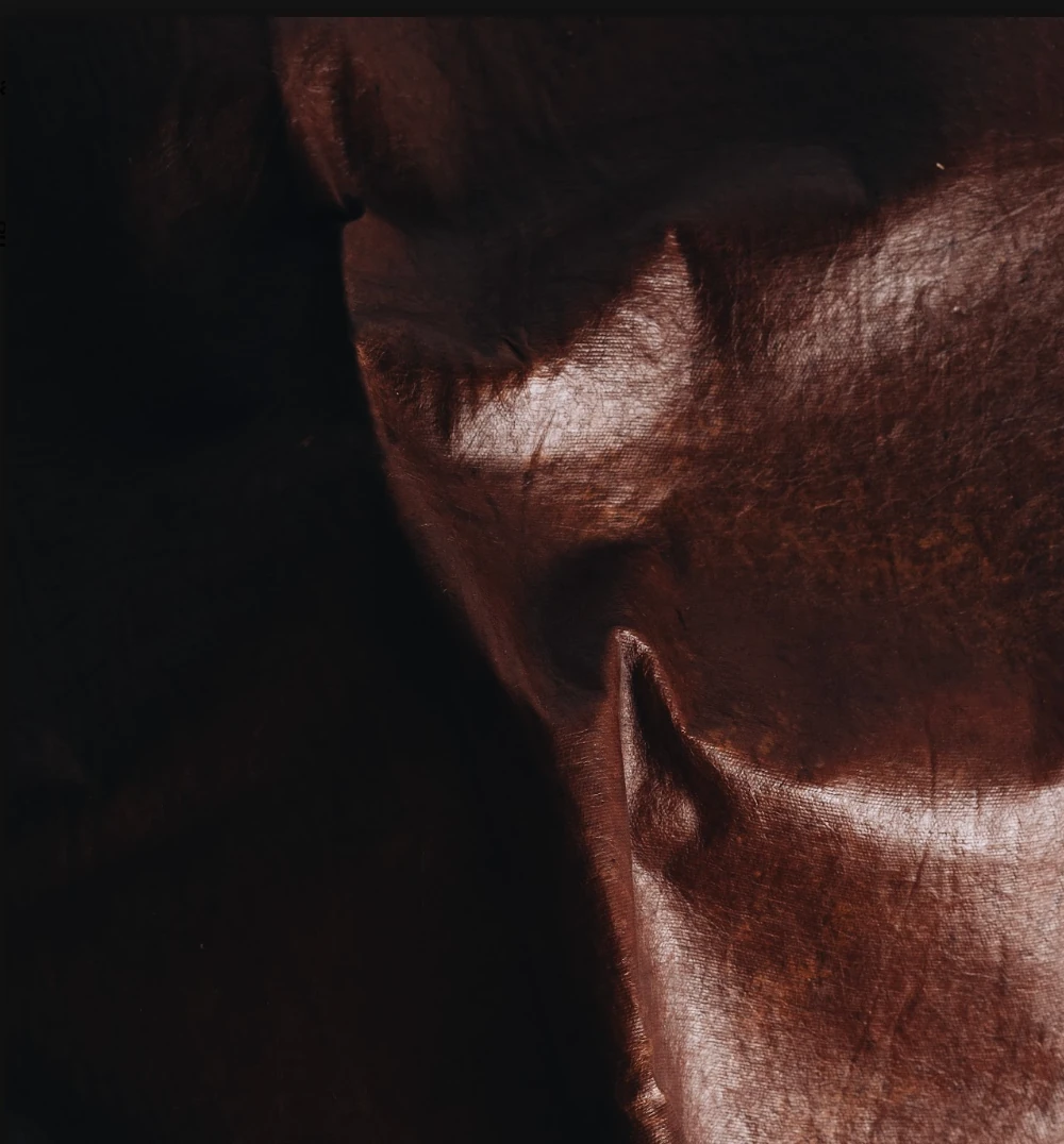 screenshot-2026-07-22-at-13-38-26