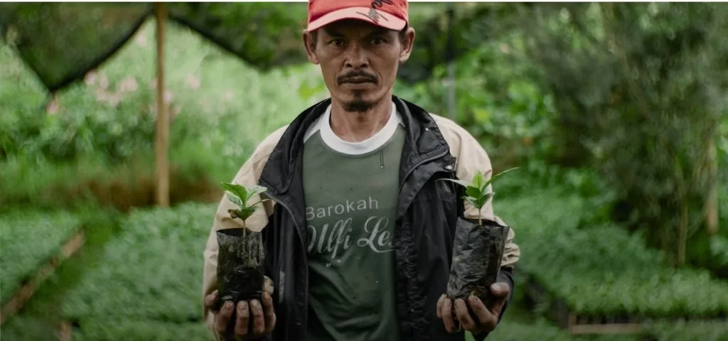 A Koperasi Mandalagiri farmer with coffee seedlings at the cooperative nursery in Cikandang, Garut